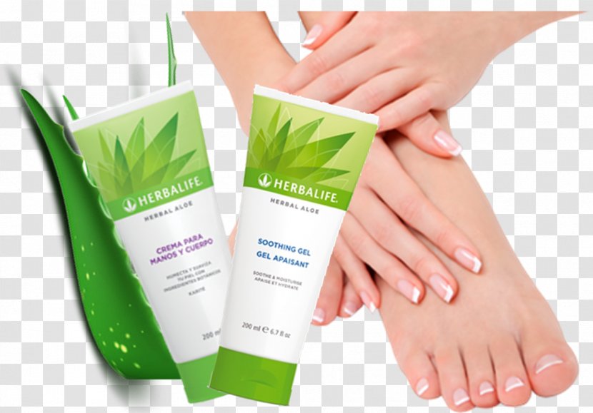 Herbal Center Cream Aloe Vera Skin Humectant - Tree - Hand Transparent PNG