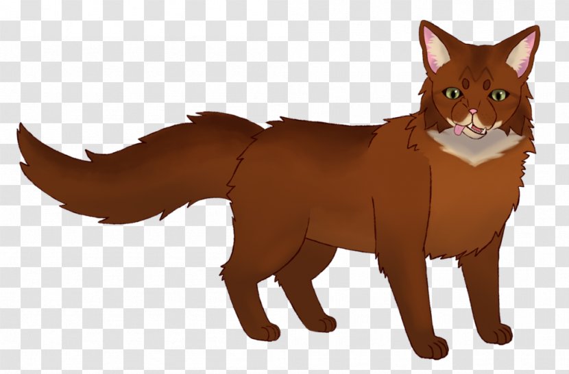 Whiskers Red Fox Cat Fur Snout - Like Mammal Transparent PNG