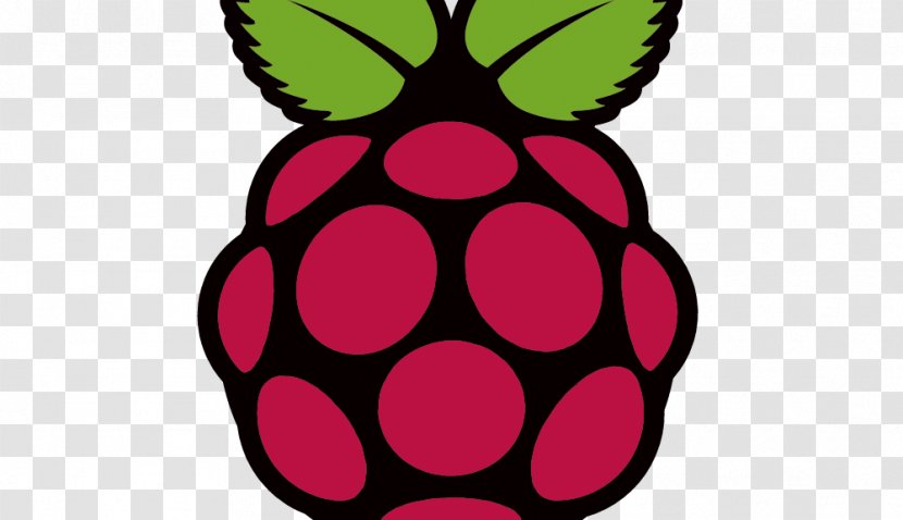Raspberry Pi Foundation Computer Installation Raspbian - Fruit Transparent PNG