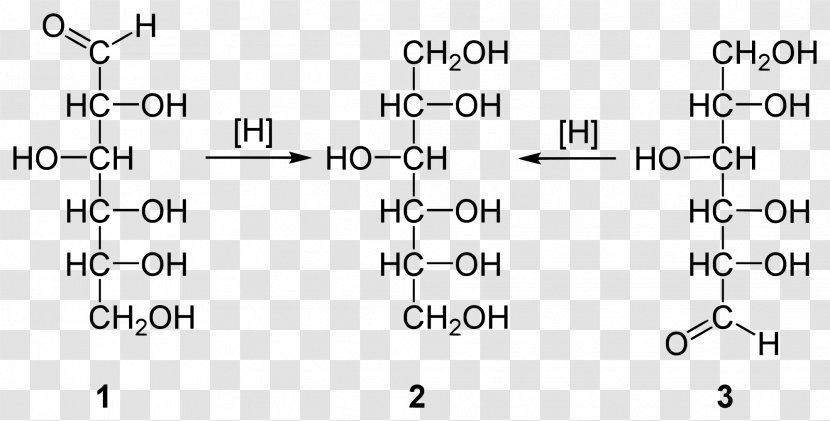 Sorbitol Carbohydrate Mannitol Chemistry Polysaccharide - Tree - Watercolor Transparent PNG