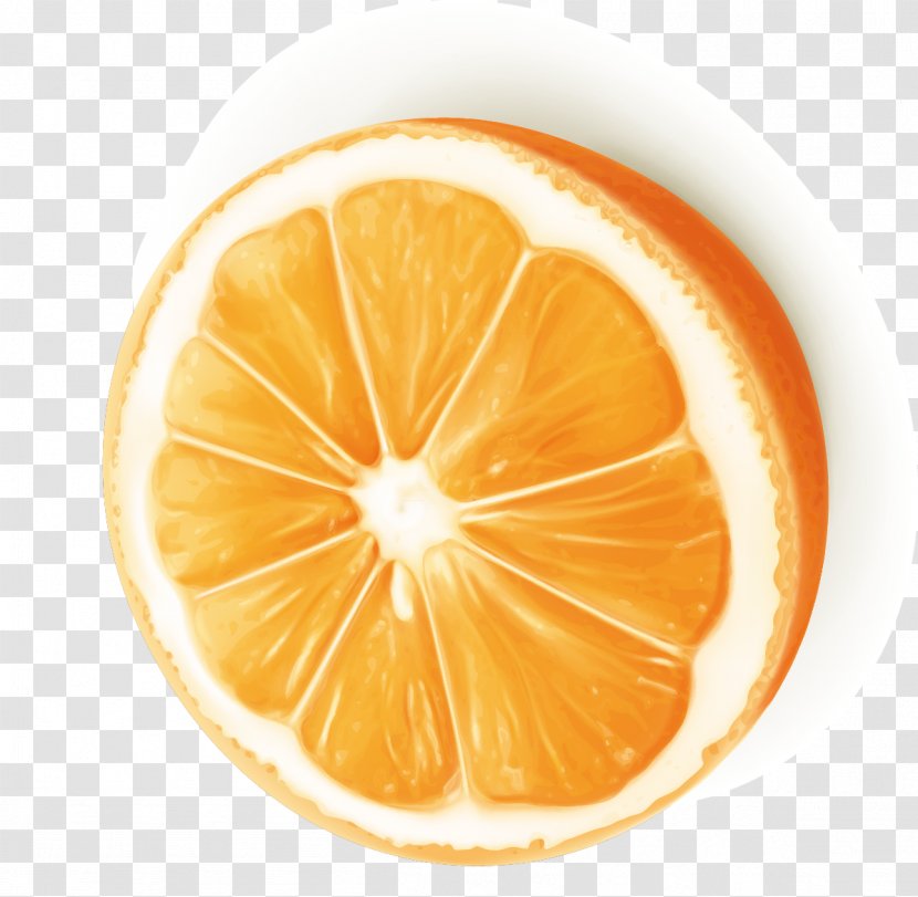 Orange Juice Slice Clip Art - Ingredient - Vector Material Transparent PNG