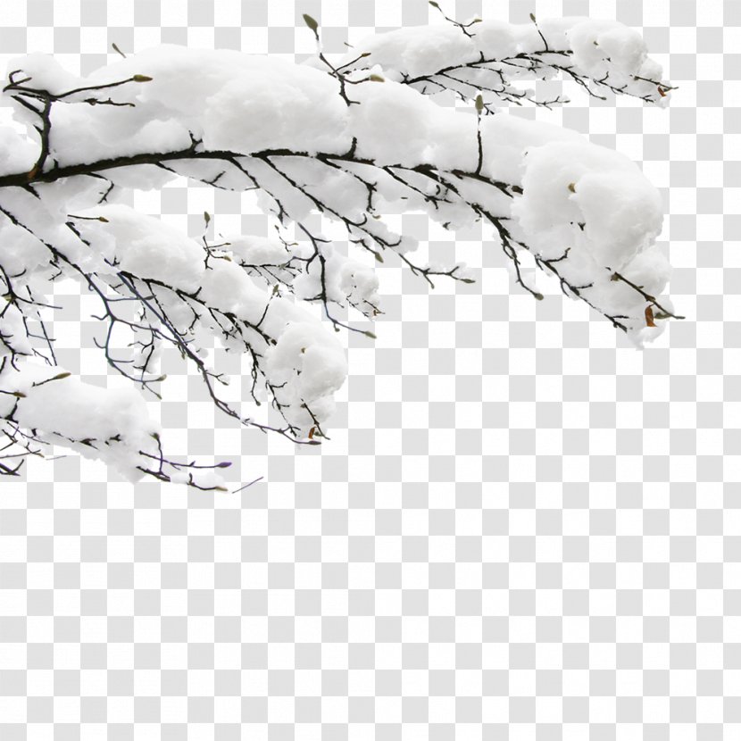 Dongzhi Daxue Snow Template Transparent PNG