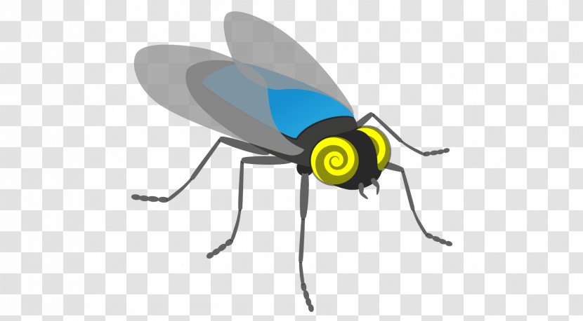 Insect Mosquito Pollinator Scientist Northeastern University Transparent PNG