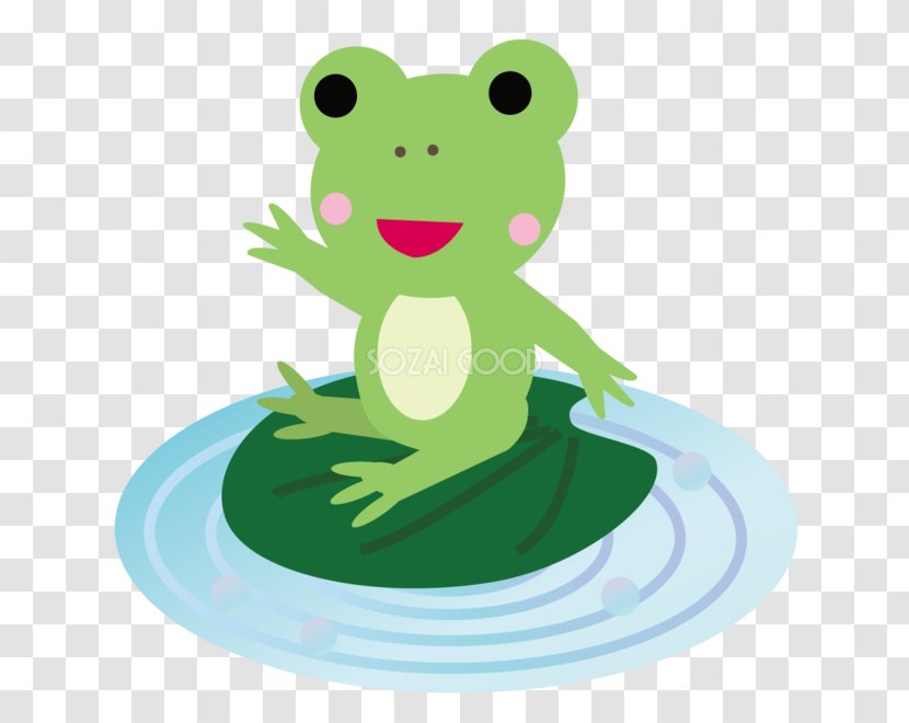 Frog Cartoon Surface Water - Ellipse - Ai.zip Transparent PNG