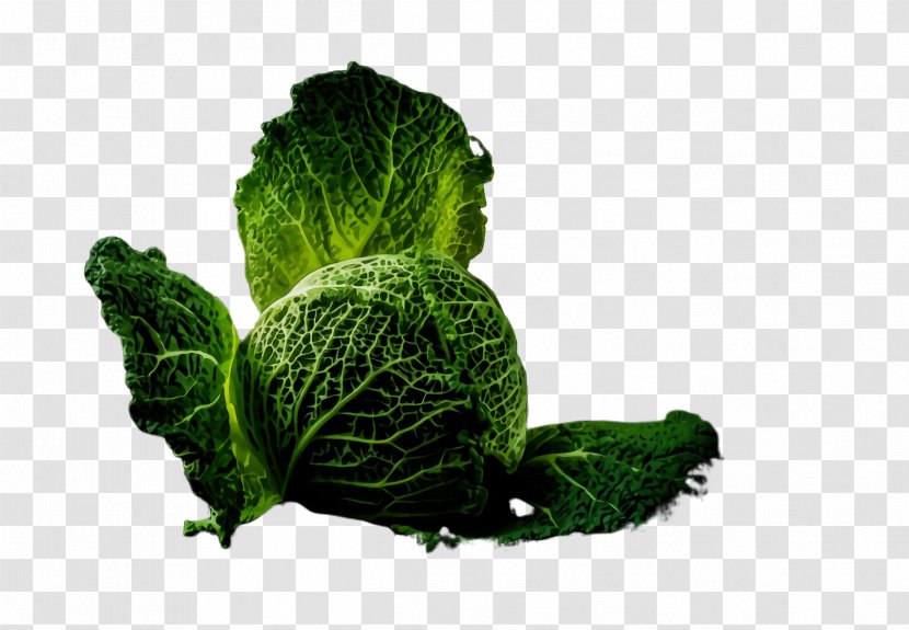 Leaf Vegetable Plant Romaine Lettuce - Collard Greens - Food Flower Transparent PNG