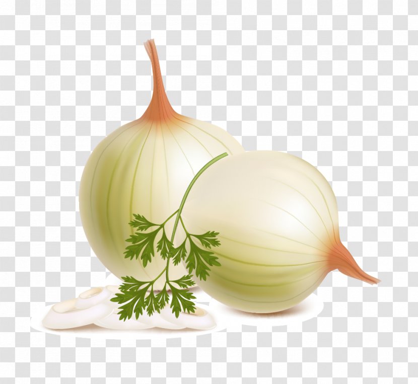 Vegetarian Cuisine Vegetable Fruit Tomato - Ingredient - Onion Transparent PNG