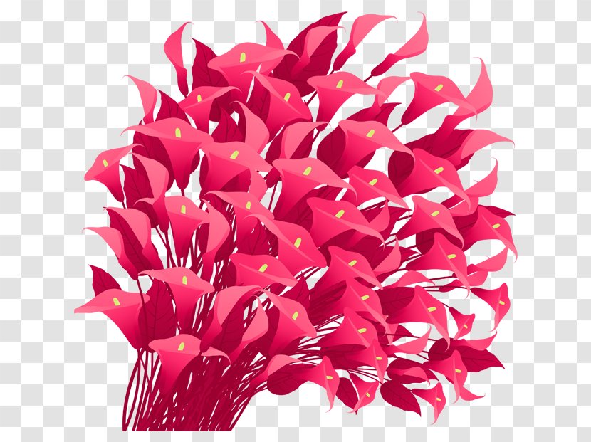 Cut Flowers Red Clip Art - Plant - Flowering Transparent PNG