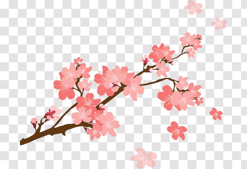 Cherry Blossom - Twig Tree Transparent PNG