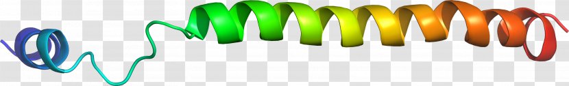 Green Font - Closeup - Ding Transparent PNG