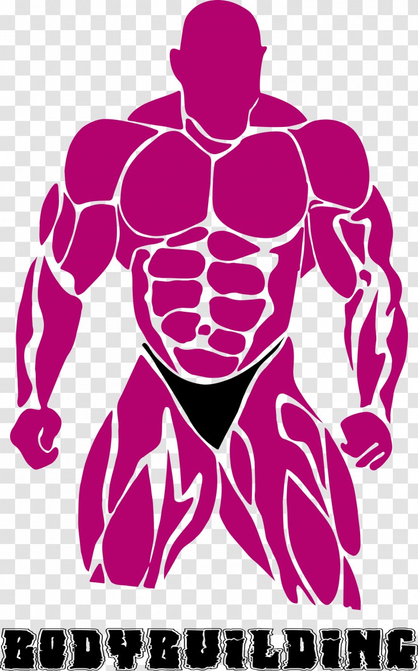 Bodybuilding Fitness Centre Clip Art - Flower - Muscular Man Transparent PNG