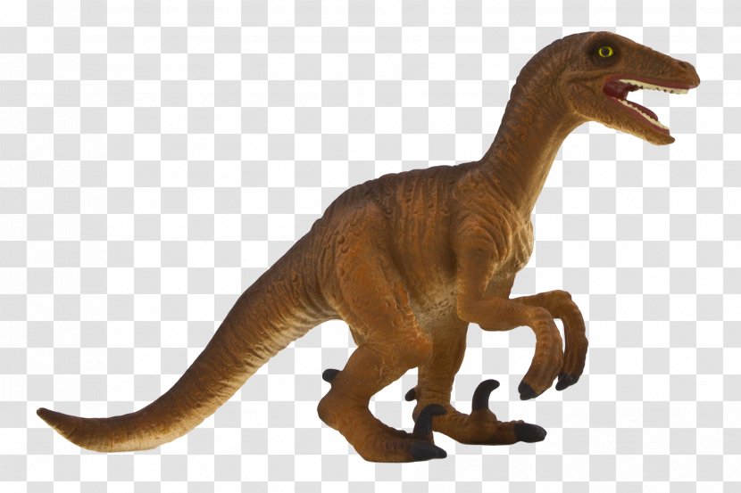 Velociraptor Deinonychus Spinosaurus Dinosaur Tyrannosaurus Transparent PNG
