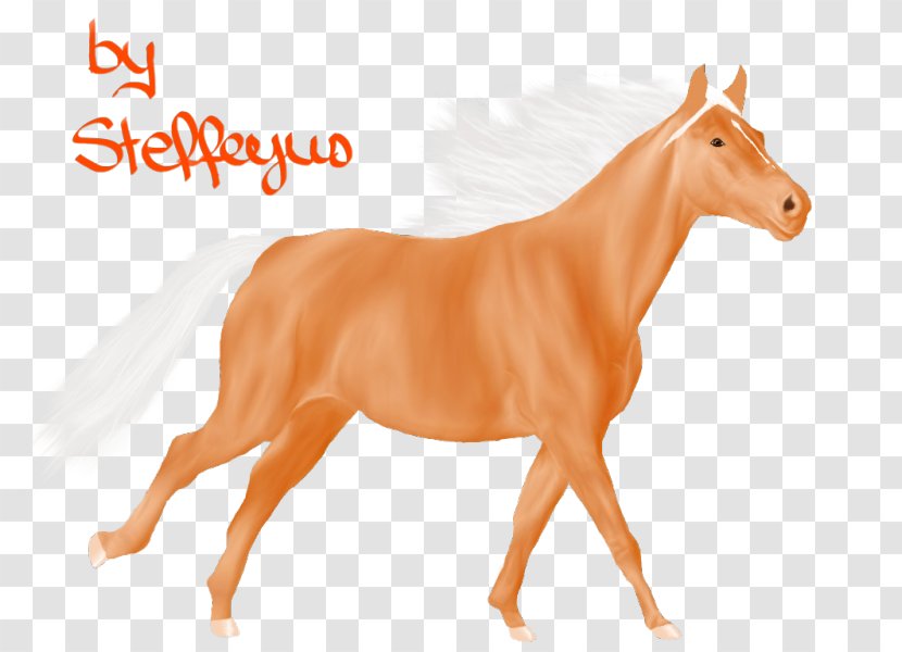 Pony Mustang Foal Mane Mare - Colt Transparent PNG