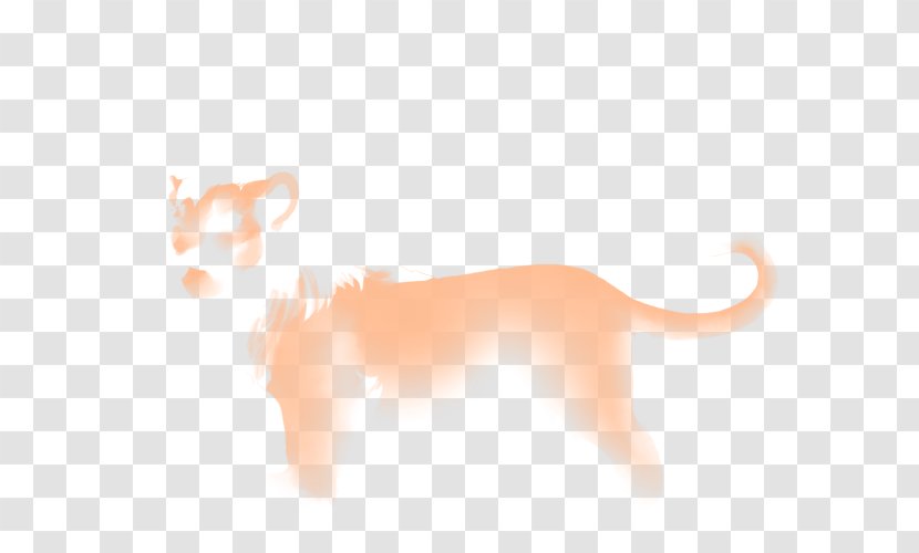 Whiskers Dog Cat Snout Desktop Wallpaper Transparent PNG