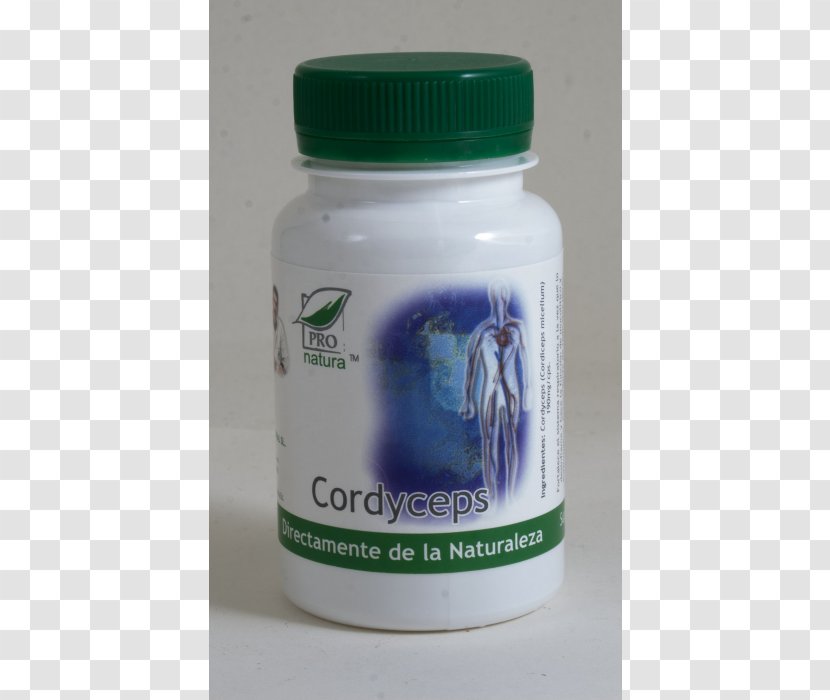 Cordyceps Immunity Antioxidant Inflammation Therapy - Medical Supply Transparent PNG