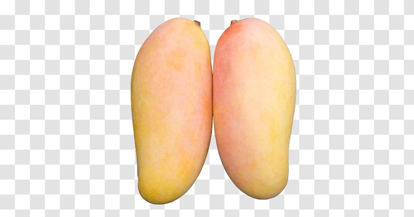 Mango - Root Vegetables - Two Mangoes Transparent PNG