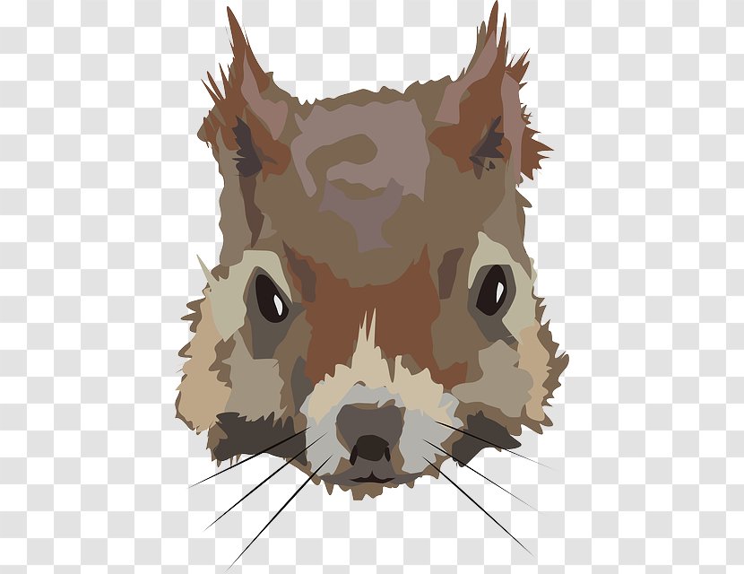 Dog Squirrel Felidae Chipmunk Rodent Transparent PNG