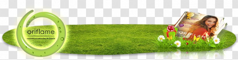 Brand - Green - Design Transparent PNG