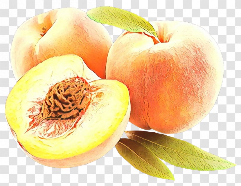 Fruit Cartoon - Food - Ingredient Superfruit Transparent PNG