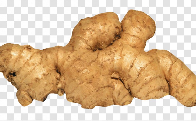 Root Vegetables Ginger Spice Transparent PNG