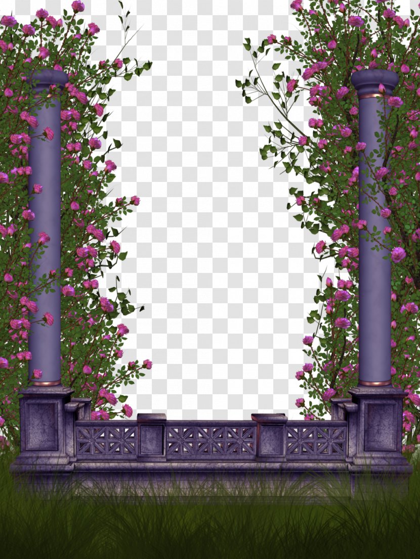 Rose Flower - Shrub - Lace Border Transparent PNG