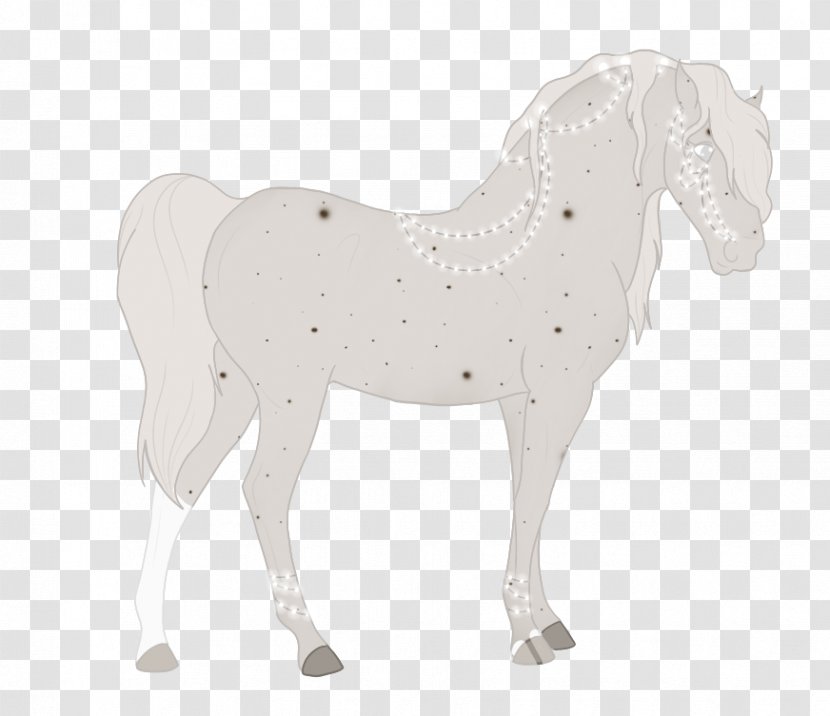 Stallion Mustang Halter Mare Rein - Horse Tack Transparent PNG