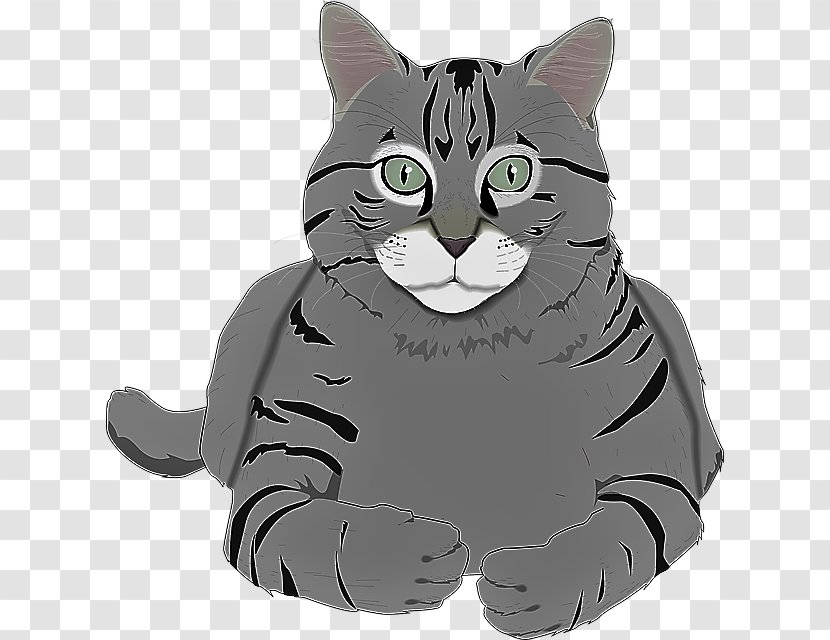 Wildcat Sphynx Cat Burmese Clip Art Persian - Kitten Transparent PNG