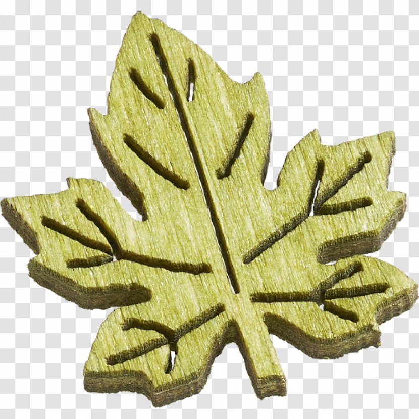 Leaf Green Produce Maple - Tree Transparent PNG