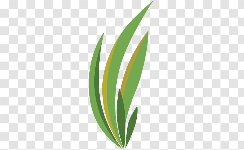 Lawn Artificial Turf Backyard Leaf Logo - Grass - Lush Transparent PNG