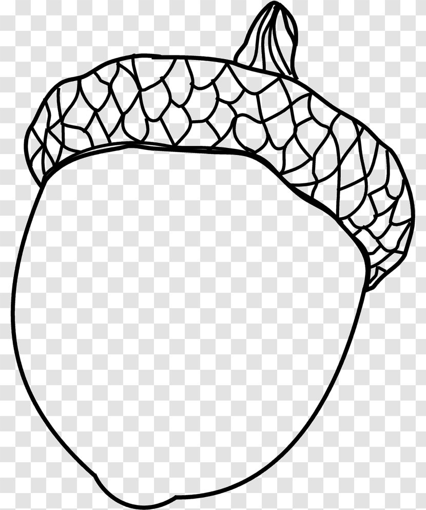 Drawing Coloring Book Acorn Painting - Leaf Transparent PNG