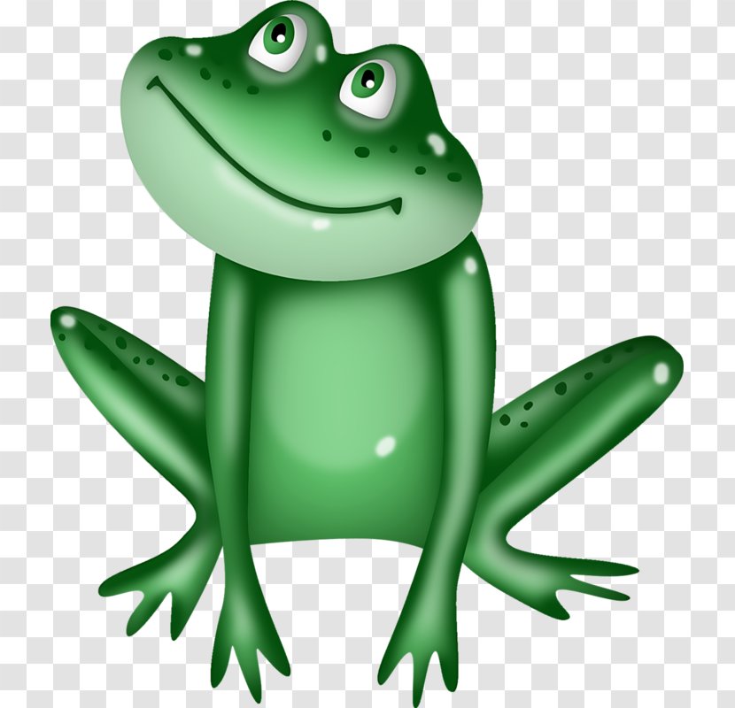Tree Frog Toad True American Bullfrog Transparent PNG