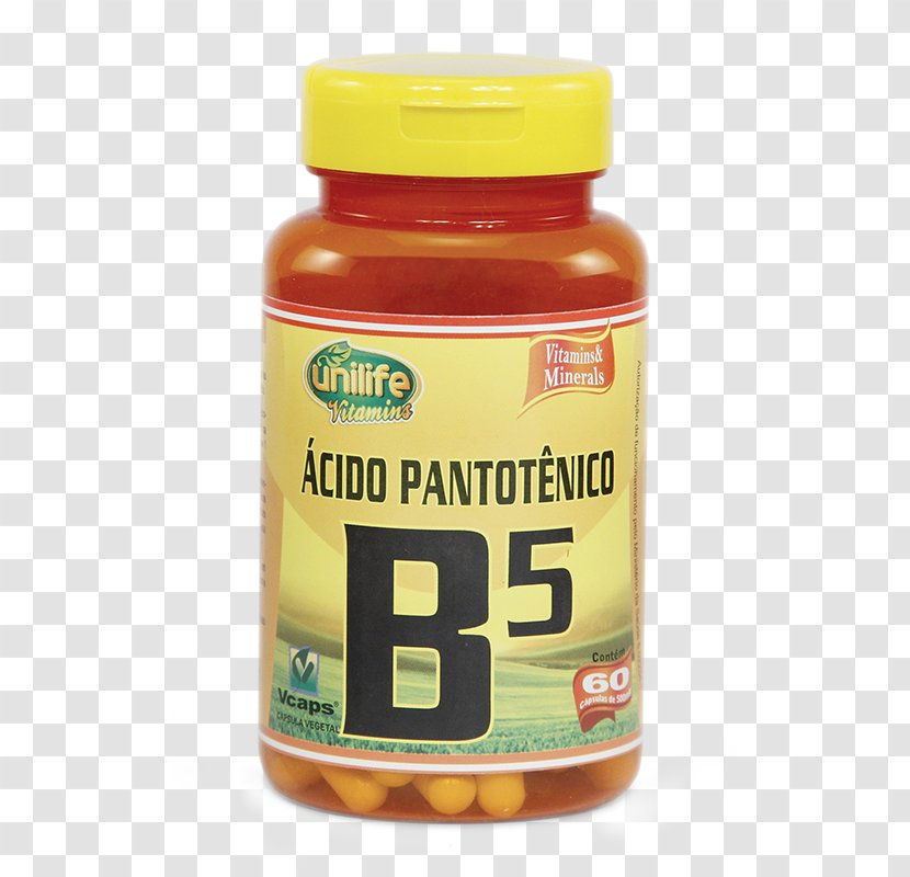 Dietary Supplement Vitamin B-12 B-6 Cobalamin - Riboflavin - Linha De Peixe Transparent PNG