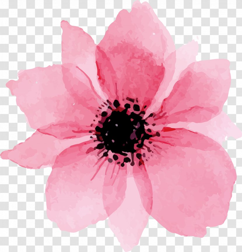 Euclidean Vector - Drawing - Pink Lovely Watercolor Flowers Transparent PNG