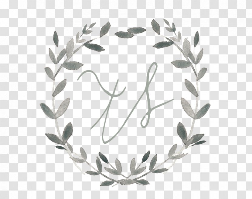 Twig White Line Art Tableware - Plant - Leaf Transparent PNG