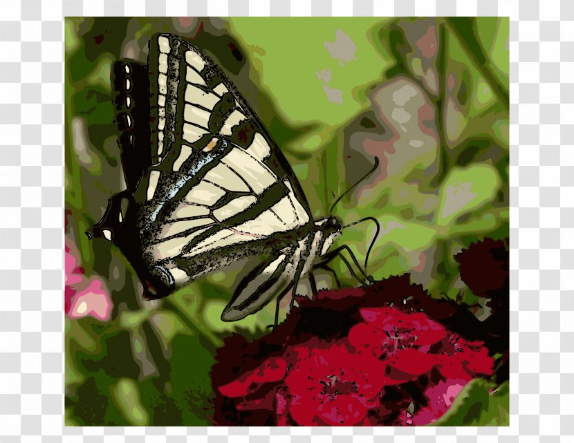 Monarch Butterfly Insect Eastern Tiger Swallowtail Papilio Rutulus - Moths And Butterflies Transparent PNG