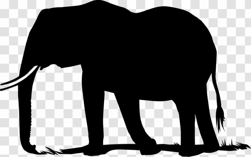 Indian Elephant African Clip Art Silhouette - Mammal - Blackandwhite Transparent PNG