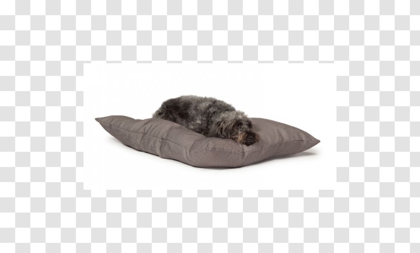 Duvet DoggieGadgets.com Bed Sleep - Shoe - Dog Transparent PNG