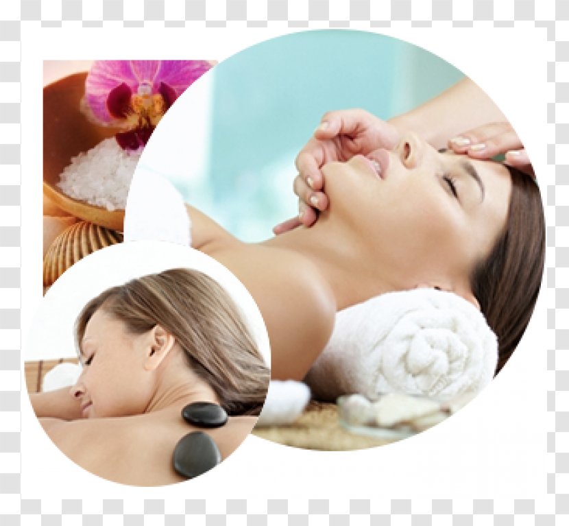 Day Spa Massage Facial Vickmay Skin & Body - Runo Transparent PNG