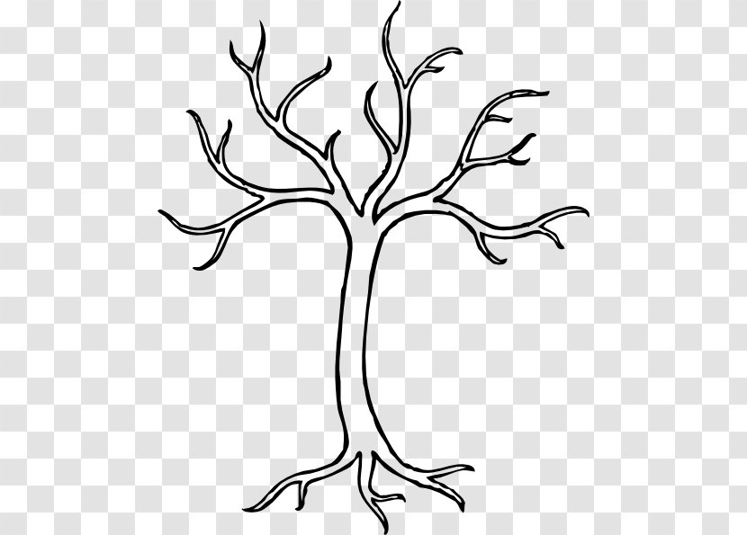 Tree Drawing Branch Clip Art - Woody Plant - Dogwood Transparent PNG