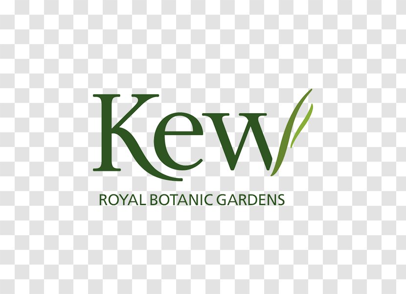 Royal Botanic Gardens, Kew Gardens Botanical Garden Hanging Of Babylon - Logo - Point Takeaway Transparent PNG