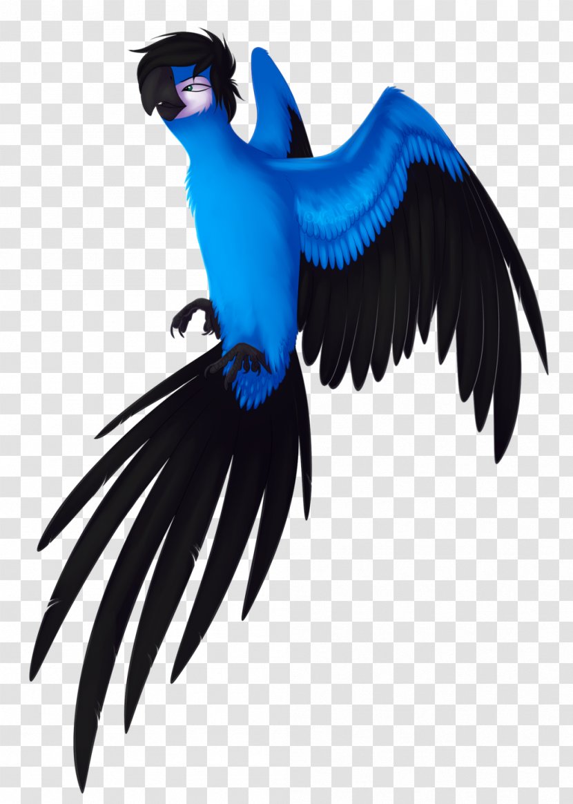 Macaw Nigerian Naira Rio Drawing - Wing Transparent PNG