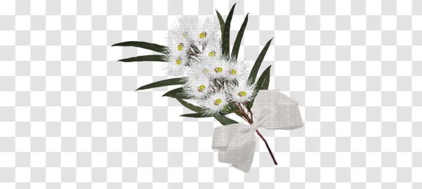 Floral Design Flower Bouquet Cut Flowers - White Transparent PNG
