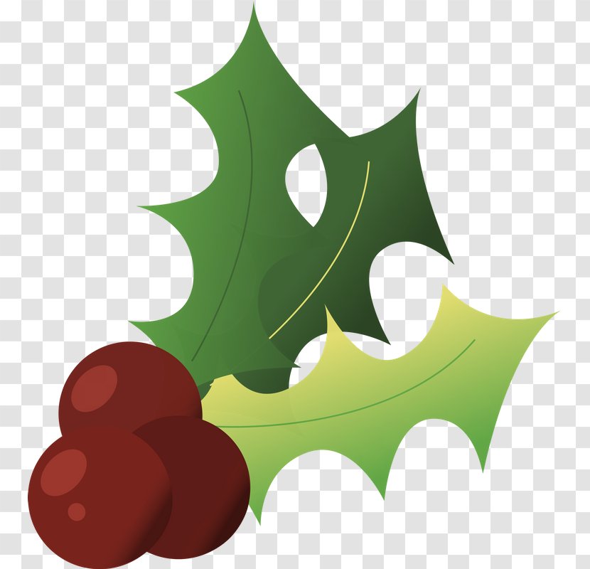 Christmas Tree Background - Plant - American Holly Woody Transparent PNG