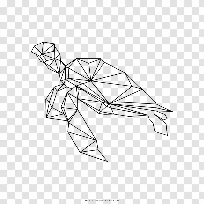 Baby Sea Turtle Line Art Drawing Coloring Book - Symmetry Transparent PNG