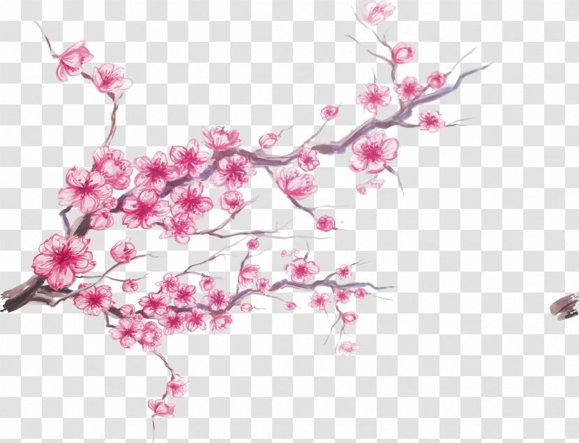 Cherry Blossom Ink - Branch - Blossoms Transparent PNG