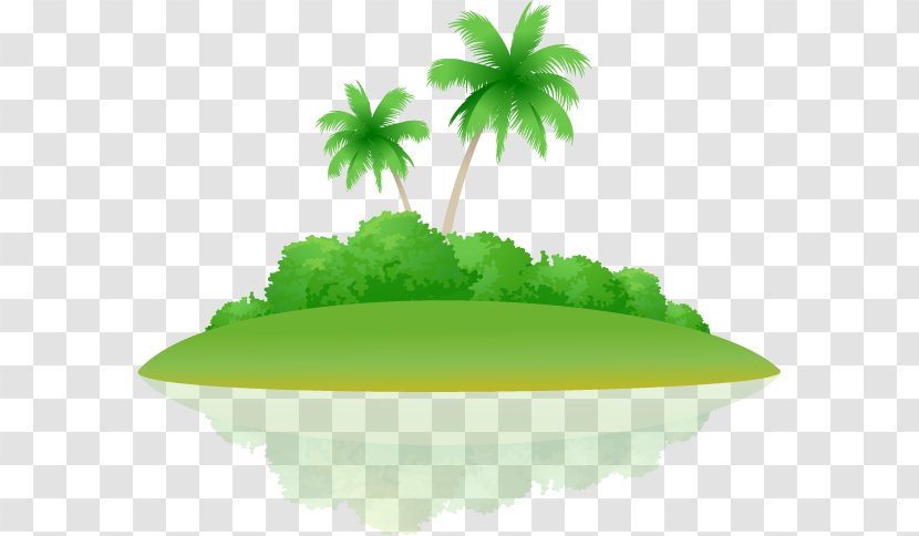 Euclidean Vector Arecaceae Icon - Royaltyfree - Green Sea Coconut Tree Transparent PNG