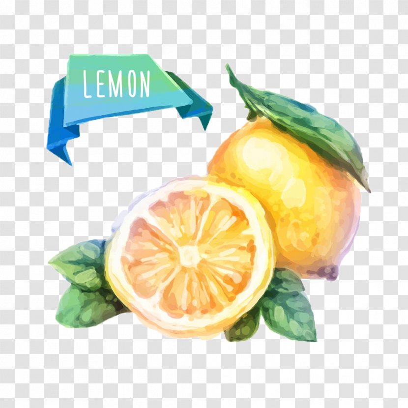 Watercolor Painting Fruit Drawing Illustration - Fresh Lemon Transparent PNG