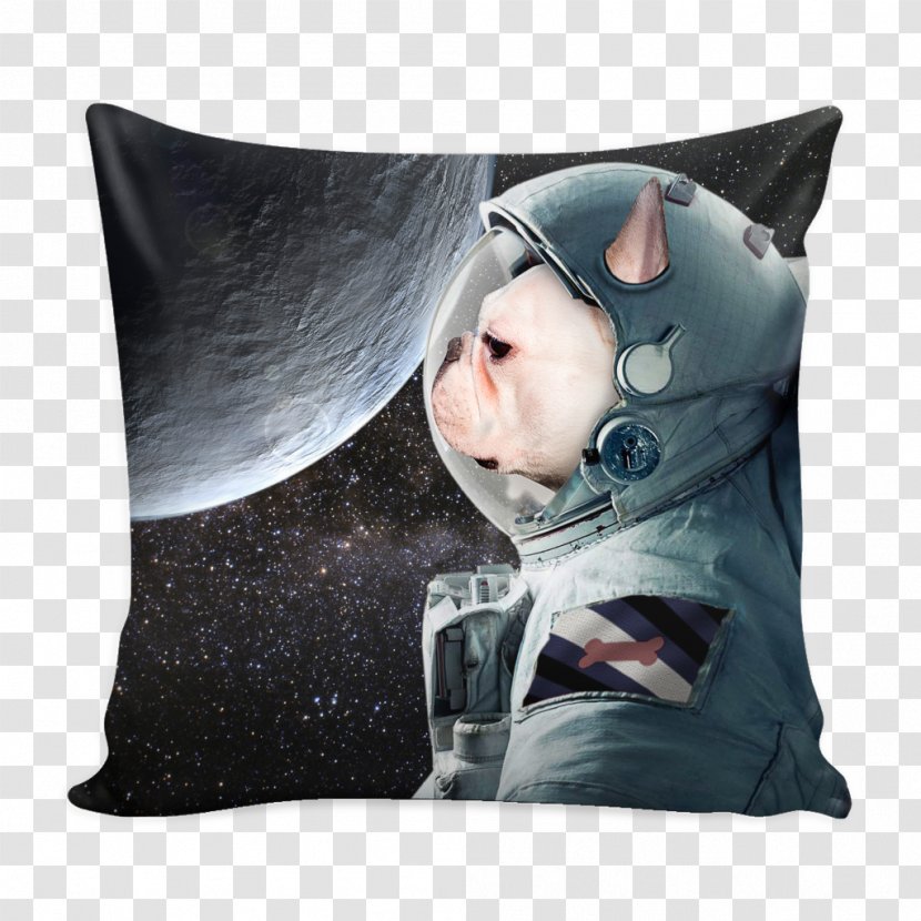 Endurance: A Year In Space, Lifetime Of Discovery Cushion Throw Pillows Snout - French Dog Transparent PNG