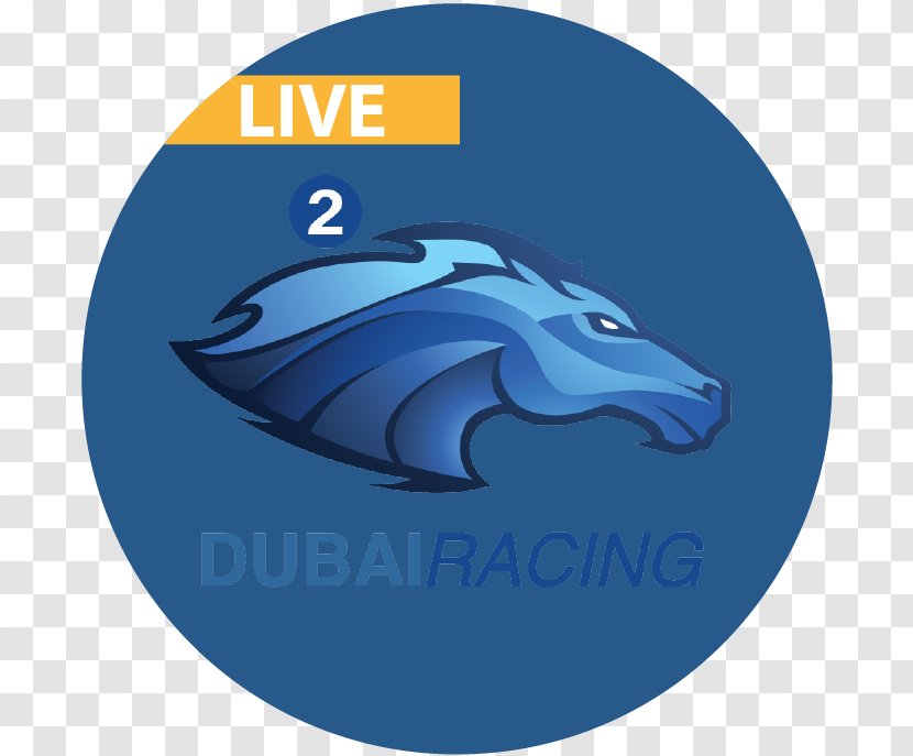 Dubai TV Sports 2018 World Cup Noor - Whales Dolphins And Porpoises Transparent PNG