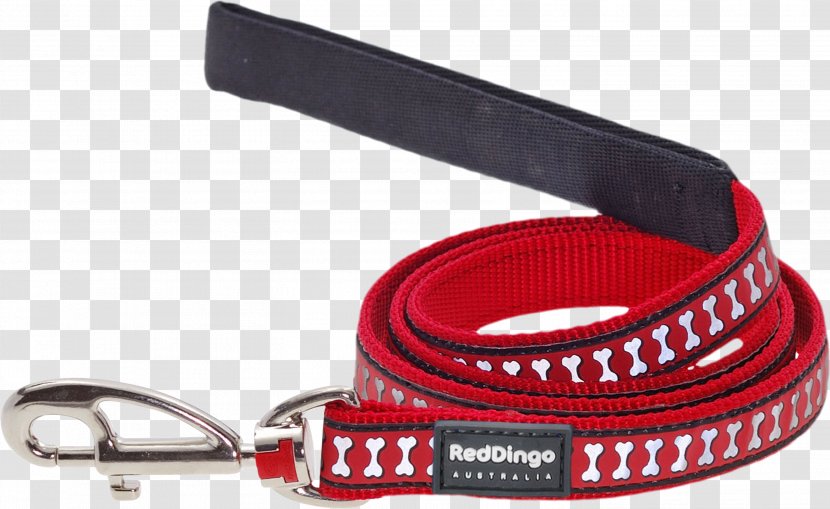 Dingo Dog Leash Pet Lead - Collar - Red Transparent PNG