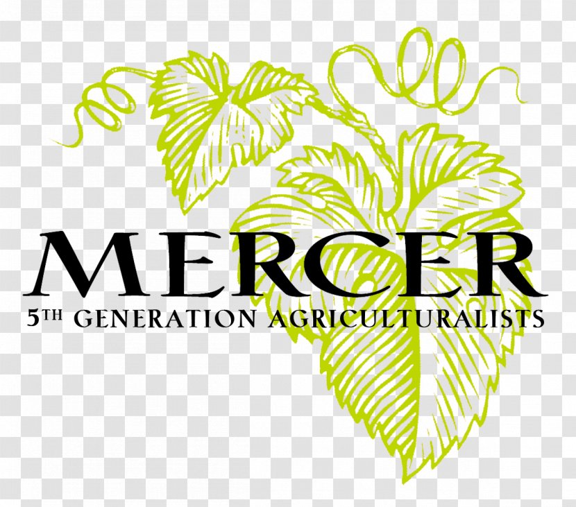Mercer Wine Estate Cabernet Sauvignon Washington Yakima Valley AVA - Tree Transparent PNG